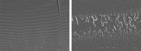 thermoplastic crack cracking test polycarbonate impact or modulus|amorphous polycarbonate failure.